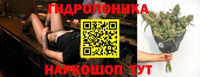 шишки Конаково