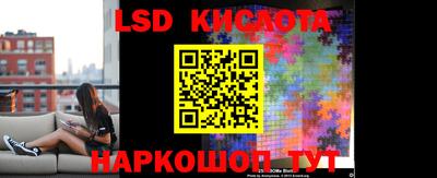 шишки Конаково