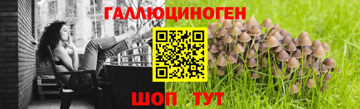 Псилоцибиновые грибы Magic Shrooms Кимовск